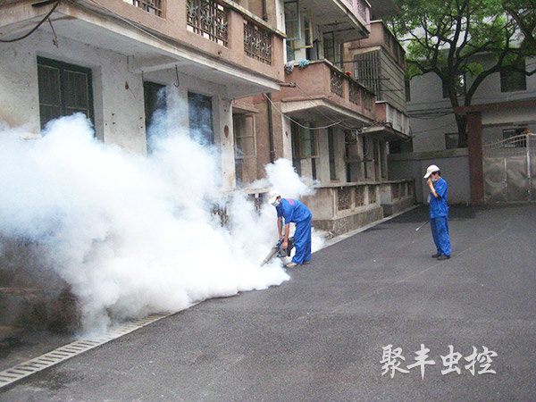 中医医院下水道灭蚊