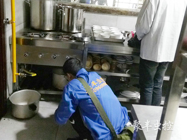 39铺茶庄灭蟑