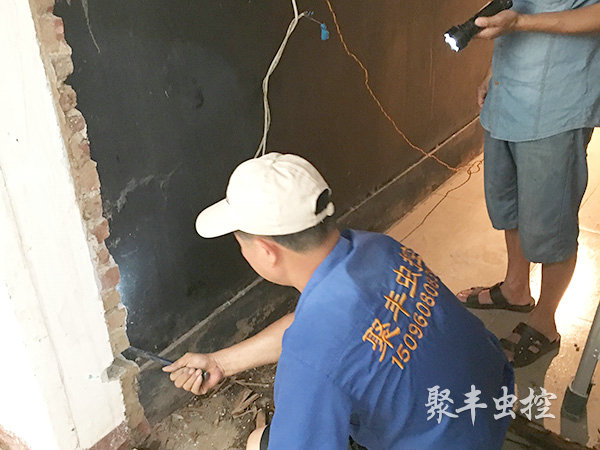 住宅白蚁防治